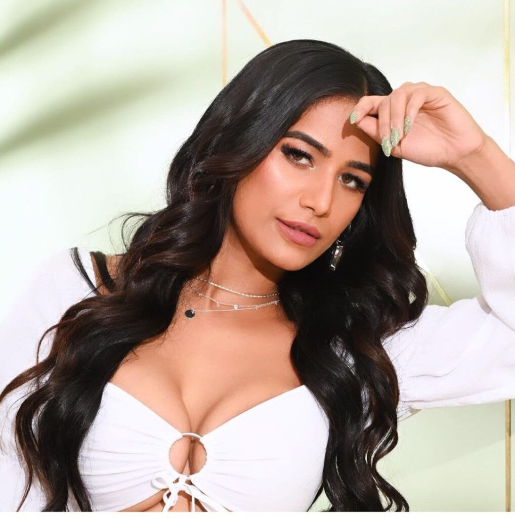 Poonam Pandey Net Worth